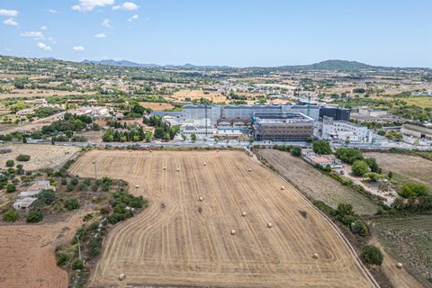Helårsgrund i Manacor, Mallorca, Manacor - € 99.000 | Ref: 05RCLF020/3010 - foto 34