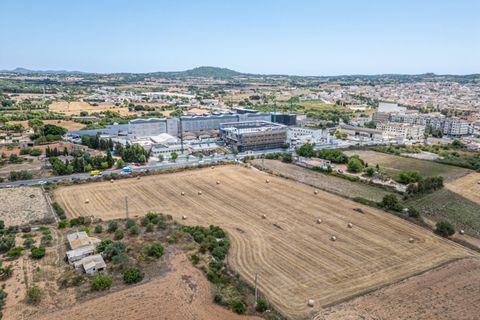 Helårsgrund i Manacor, Mallorca, Manacor - € 99.000 | Ref: 05RCLF020/3010 - foto 35