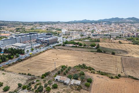 Helårsgrund i Manacor, Mallorca, Manacor - € 99.000 | Ref: 05RCLF020/3010 - foto 36