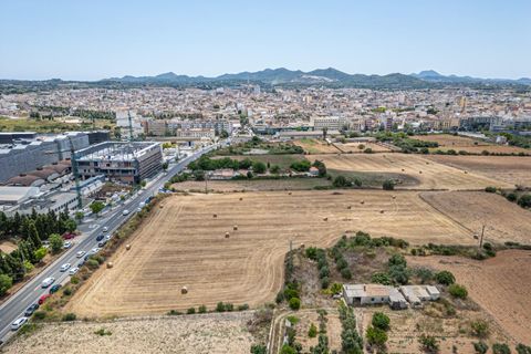 Helårsgrund i Manacor, Mallorca, Manacor - € 99.000 | Ref: 05RCLF020/3010 - foto 37