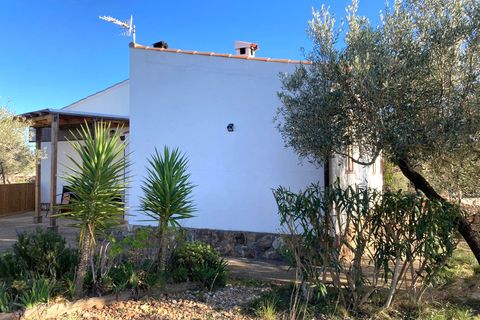 Landejendom i Tortosa, Tarragona, Tortosa - € 295.000 | Ref: Tor9081redo - foto 43