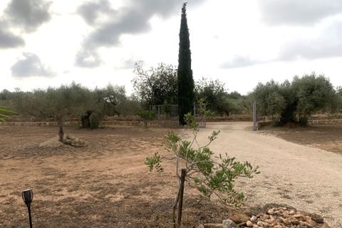 Landejendom i Tortosa, Tarragona, Tortosa - € 295.000 | Ref: Tor9081redo - foto 40