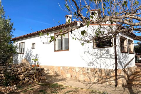 Landejendom i Tortosa, Tarragona, Tortosa - € 295.000 | Ref: Tor9081redo - foto 46