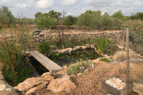 Landejendom i Tortosa, Tarragona, Tortosa - € 295.000 | Ref: Tor9081redo - foto 33