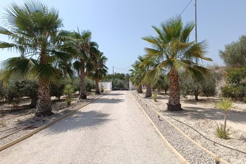 Villa in Bufali, Valencia, Bufali - € 395.000 | Ref: P7553 - foto 21