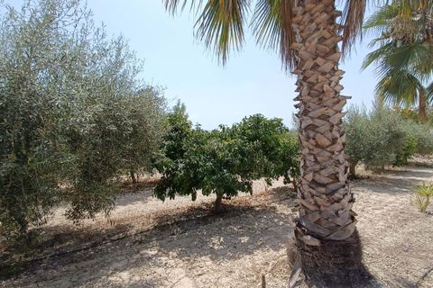Villa in Bufali, Valencia, Bufali - € 395.000 | Ref: P7553 - foto 22