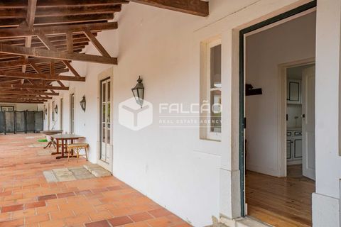 Gård i Santarem, Santarem, Santarem - € 1 795 000 | Ref: FR729 - foto 9