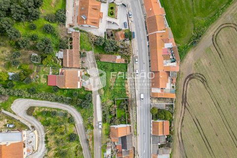 Villa i Chamusca, Santarem, Chamusca - € 24.000 | Ref: FR619 - foto 4