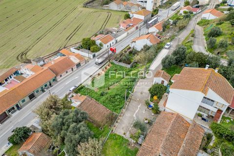Villa i Chamusca, Santarem, Chamusca - € 24.000 | Ref: FR619 - foto 5