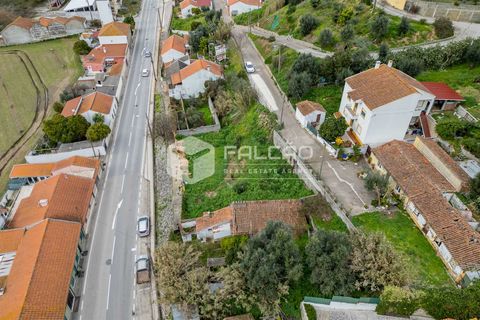Villa i Chamusca, Santarem, Chamusca - € 24.000 | Ref: FR619 - foto 6