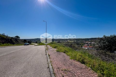 Terra a Portalegre, Portalegre, Portalegre - € 200.000 | Ref: FR651 - foto 2