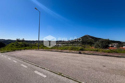 Terra a Portalegre, Portalegre, Portalegre - € 200.000 | Ref: FR651 - foto 3