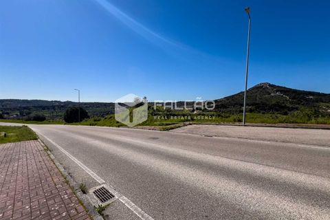 Terra a Portalegre, Portalegre, Portalegre - € 200.000 | Ref: FR651 - foto 4