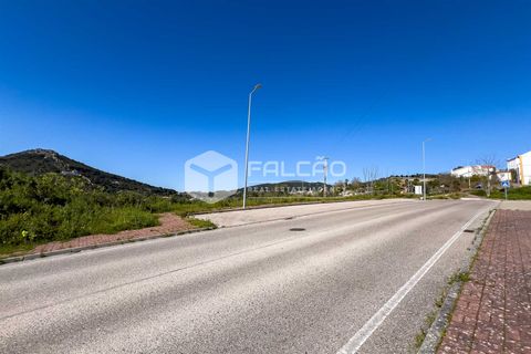 Terra a Portalegre, Portalegre, Portalegre - € 200.000 | Ref: FR651 - foto 5