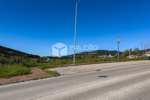 Terra a Portalegre, Portalegre, Portalegre - € 200.000 | Ref: FR651 - foto 6