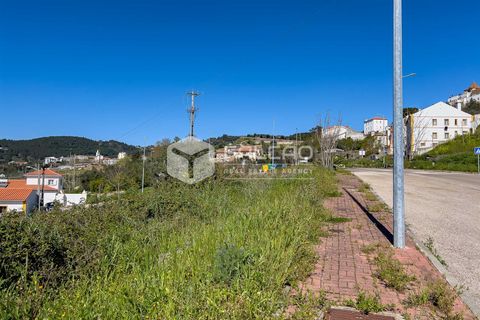 Terra a Portalegre, Portalegre, Portalegre - € 200.000 | Ref: FR651 - foto 7