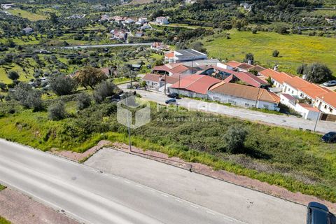 Terra a Portalegre, Portalegre, Portalegre - € 200.000 | Ref: FR651 - foto 8