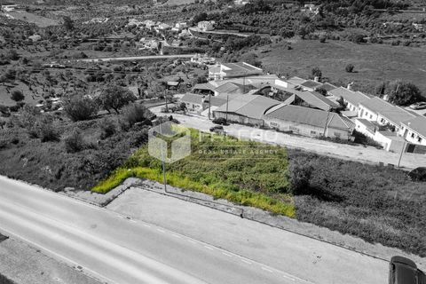Terra a Portalegre, Portalegre, Portalegre - € 200.000 | Ref: FR651 - foto 9