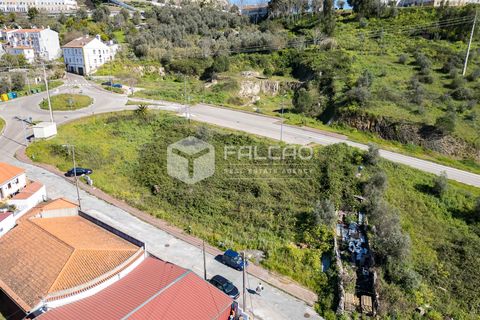 Terra a Portalegre, Portalegre, Portalegre - € 200.000 | Ref: FR651 - foto 14