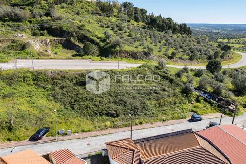 Terra a Portalegre, Portalegre, Portalegre - € 200.000 | Ref: FR651 - foto 15