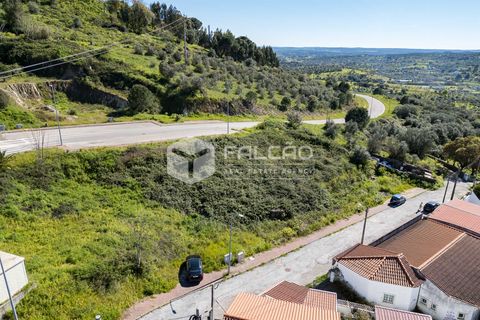 Terra a Portalegre, Portalegre, Portalegre - € 200.000 | Ref: FR651 - foto 16