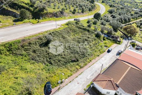 Terra a Portalegre, Portalegre, Portalegre - € 200.000 | Ref: FR651 - foto 17
