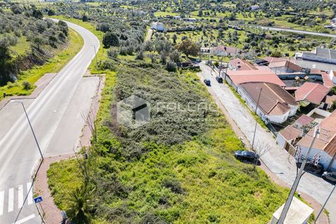 Terra a Portalegre, Portalegre, Portalegre - € 200.000 | Ref: FR651 - foto 18