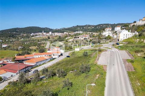 Terra a Portalegre, Portalegre, Portalegre - € 200.000 | Ref: FR651 - foto 24