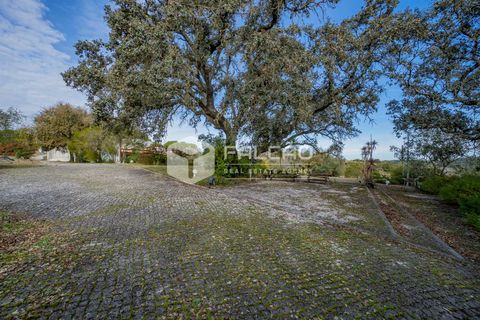 Villa a Santarem, Santarem, Santarem - € 1.000.000 | Ref: FR472 - foto 9