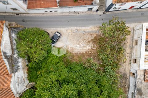Helårsgrund i Santarem, Santarem, Santarem - € 165.000 | Ref: FR280 - foto 2