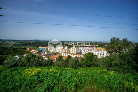 Helårsgrund i Santarem, Santarem, Santarem - € 365.000 | Ref: FR288 - foto 7