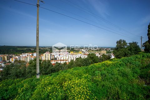 Helårsgrund i Santarem, Santarem, Santarem - € 365.000 | Ref: FR288 - foto 8