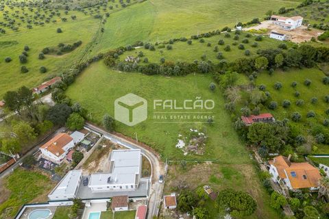 Terra a Santarem, Santarem, Santarem - € 50.000 | Ref: FR679 - foto 3