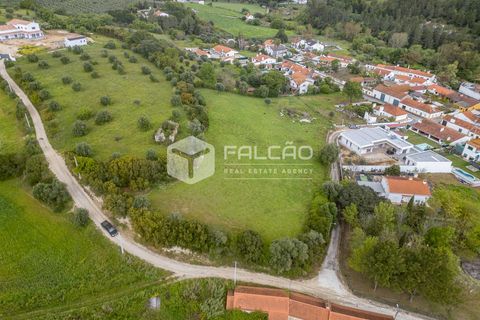 Terra a Santarem, Santarem, Santarem - € 50.000 | Ref: FR679 - foto 5