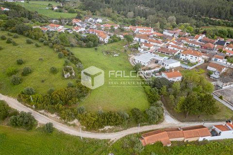 Terra a Santarem, Santarem, Santarem - € 50.000 | Ref: FR679 - foto 6
