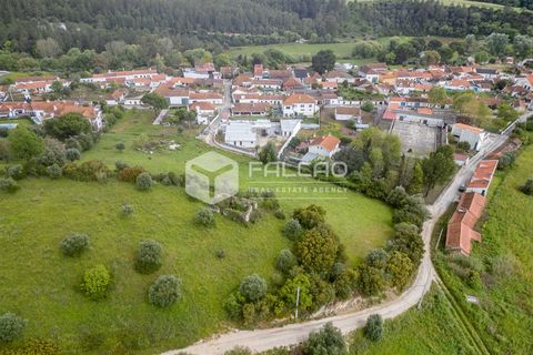 Terra a Santarem, Santarem, Santarem - € 50.000 | Ref: FR679 - foto 8