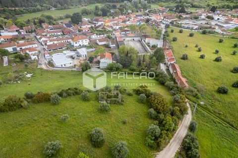 Terra a Santarem, Santarem, Santarem - € 50.000 | Ref: FR679 - foto 9