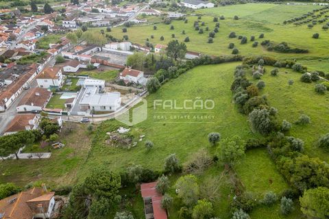 Terra a Santarem, Santarem, Santarem - € 50.000 | Ref: FR679 - foto 10
