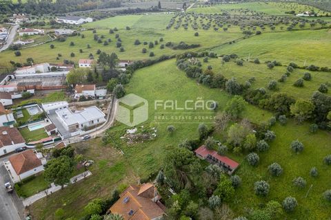 Terra a Santarem, Santarem, Santarem - € 50.000 | Ref: FR679 - foto 11