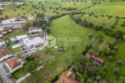 Terra a Santarem, Santarem, Santarem - € 50.000 | Ref: FR679 - foto 12