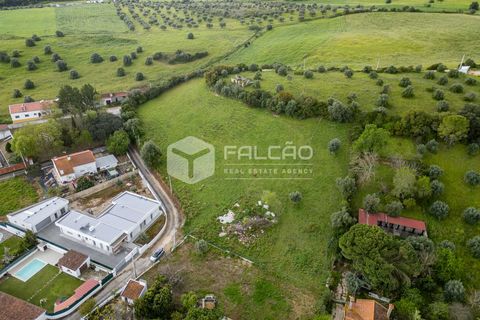 Terra a Santarem, Santarem, Santarem - € 50.000 | Ref: FR679 - foto 13