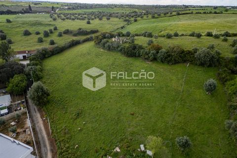 Terra a Santarem, Santarem, Santarem - € 50.000 | Ref: FR679 - foto 14
