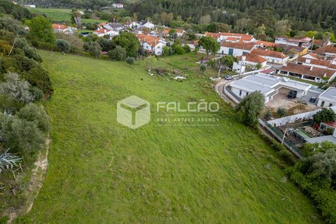 Terra a Santarem, Santarem, Santarem - € 50.000 | Ref: FR679 - foto 15