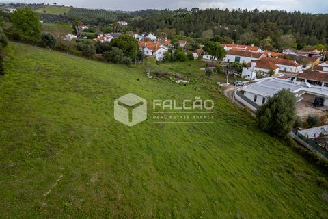 Terra a Santarem, Santarem, Santarem - € 50.000 | Ref: FR679 - foto 16