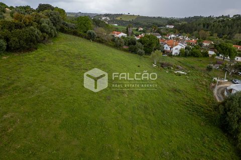 Terra a Santarem, Santarem, Santarem - € 50.000 | Ref: FR679 - foto 17