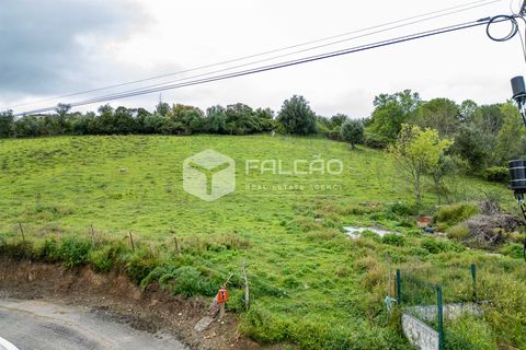 Terra a Santarem, Santarem, Santarem - € 50.000 | Ref: FR679 - foto 18