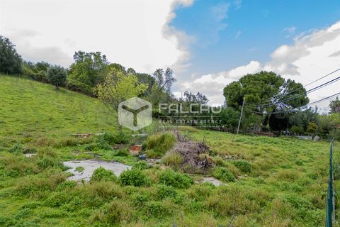 Terra a Santarem, Santarem, Santarem - € 50.000 | Ref: FR679 - foto 19