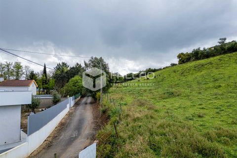 Terra a Santarem, Santarem, Santarem - € 50.000 | Ref: FR679 - foto 20