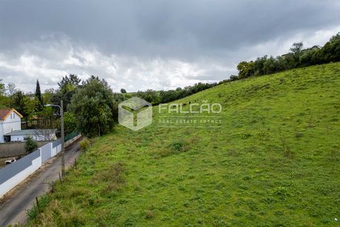 Terra a Santarem, Santarem, Santarem - € 50.000 | Ref: FR679 - foto 21