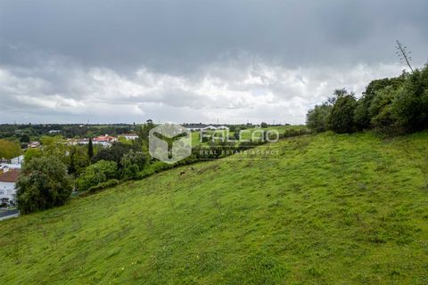 Terra a Santarem, Santarem, Santarem - € 50.000 | Ref: FR679 - foto 22